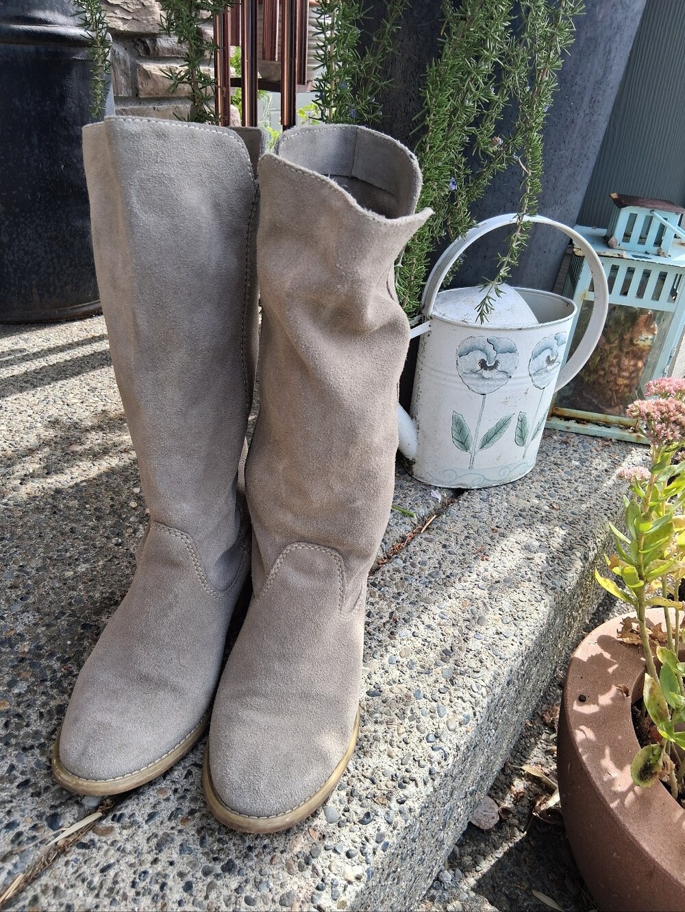 Steve Madden Suede Boots